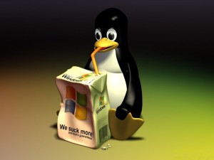 20090430201834-windowsxp-vs-linux-1280x960-300x225.jpg